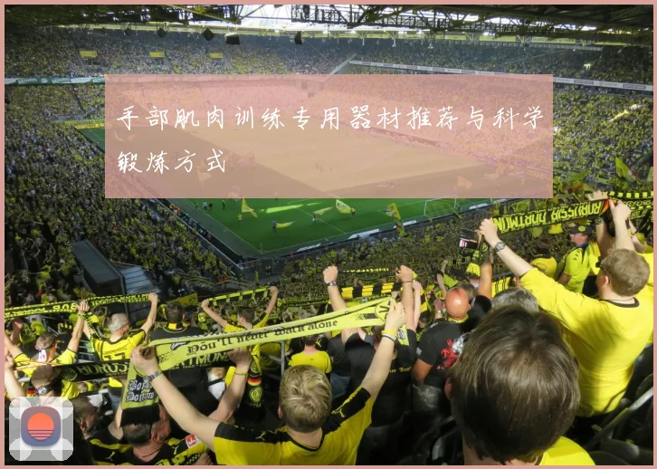 手部肌肉训练专用器材推荐与科学锻炼方式